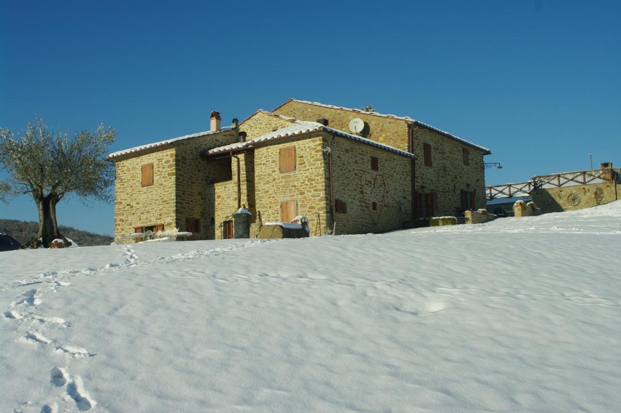 Agriturismo D'Ambiano Arezzo Exterior foto